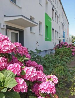 Wir sanieren für Sie! Dusche oder Badewanne? Sie entscheiden! - Oschersleben (Bode)