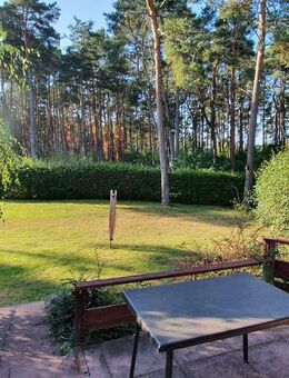 Sehr geräumig - mit Waldzugang - Sackgassenlage - 1, 2 oder 3 Einheiten? Sie entscheiden - Gorleben