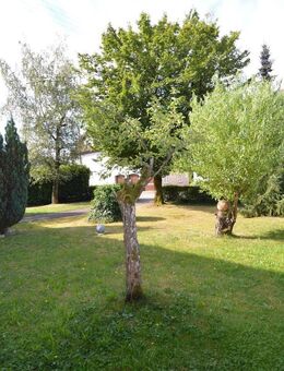 freie 4 Zimmer Wohnung mit 2 Balkonen in Maulburg - Maulburg