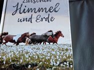 Der Bestseller aus Skandinavien - Braunschweig