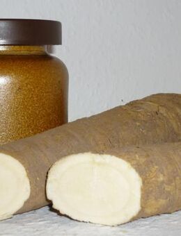 Meerrettich Senf 270ml Thüringen - rustikaler Tontopf - Görlitz Zentrum