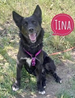 Tina- elegant und süß zur gleich - Flörsheim-Dalsheim