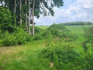 Bald in der Vermarktung: freistehendes Einfamilienhaus in Vierden - Vierden