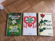 3 Bücher von Phil Bosmans - Emsdetten Zentrum