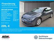 VW Golf Variant, 1.0 TSI Life, Jahr 2021 - Sinsheim