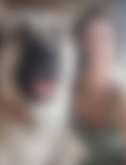 Kri*** - Petershagen