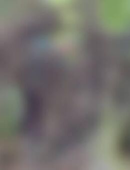 rad*** - Weil (Rhein)