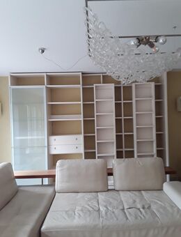 Paschen-Bibliothek mit Glasvitrine inkl. Beleuchtung und 2 Schieberegale, Holz Sand matt lackiert - Eschweiler