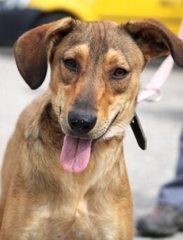 Maybrit ist ein Sonnenscheinchen! - Karben