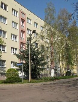 * Singlewohnung zur Selbstrenovierung * - Bernburg (Saale)