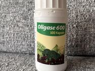 Oligase 600 - 100 Kapseln - Bad Brückenau