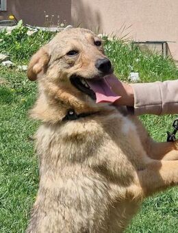 Bereit für den Neuanfang = soziale ADA♥️ - München