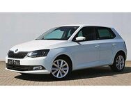 Skoda Fabia III 1.2 TSI Joy ALU DAB KA NAVI NEBEL PDC SHZ TOUCH - Neuensalz