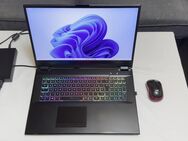 XMG PRO 17 i9-9980HK 64GB 500GB/2TB RTX 2070 17,3" Laptop inkl. RGB Gaming Kühlpad + Win11 Pro - Erbach (Hessen)