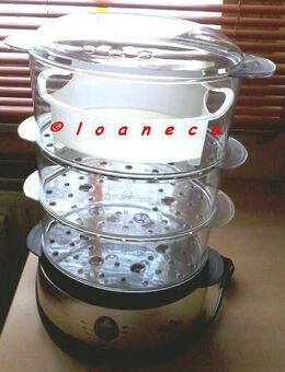 Tefal Steamer Aqua Timer Dampfgarer Dampfgarautomat Automat Kocher Kochtopf Dampf Garer Fleisch Fisch Reis Gemüse - Wolfsburg