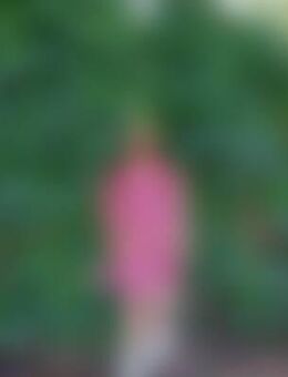 Fan*** - Idar-Oberstein