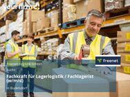 Fachkraft für Lagerlogistik / Fachlagerist (w/m/d) - Büdelsdorf