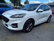 Ford Kuga Plug-In Hybrid ST-Line -LED-Navi-AHK-Winterpak-GSD - Grünberg