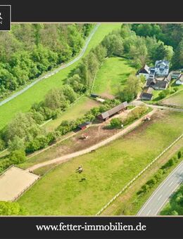 Historisches Mühlenanwesen mit Hotelbetrieb, Pferdepension und Entwicklungspotenzial im Hochtaunus! - Usingen