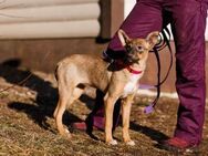 Tjen❤️sucht Pfege- oder Endstelle - Rott (Inn)