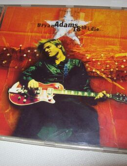 Bryan Adams til i die - Erwitte