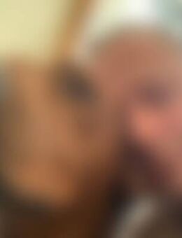 Bau*** - Forchtenberg