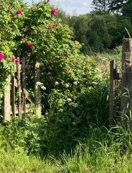 ~ WEG · BEGLEITUNG ~ - Ratingen