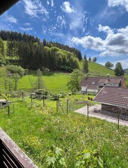 Genießen Sie diesen Ausblick ! - Böllen