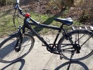 Trekking Herrenrad - Voerde (Niederrhein)