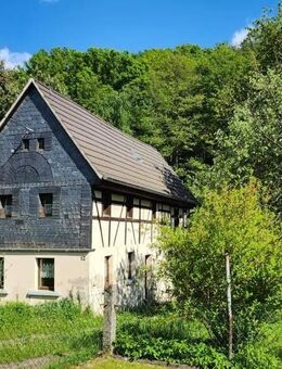 **HOMEOFFICE MIT BURGBLICK** - Frohburg Eulatal