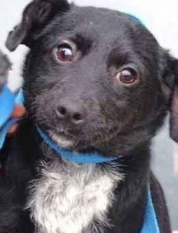 Baby DINA bangt um ihr Leben - Gefrees