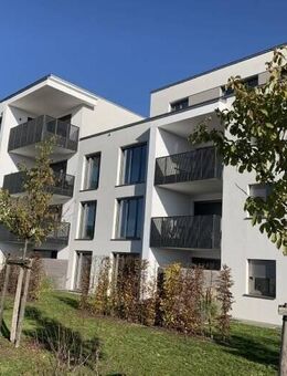 Exklusive 2 Zimmer Wohnung in Kümmersbruck provisionsfrei - Kümmersbruck