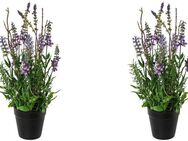 Kunstblume Lavendel im Topf Lavendel, Creativ green, Höhe 35 cm