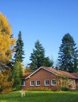 Ganz besonders und individuell! Großzügiger Bungalow mit Weitblick. - Egestorf