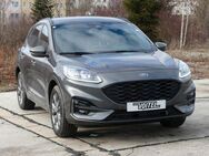 Ford Kuga ST-Line X 1.5 Ecoboost WINTERPAKET - Plauen