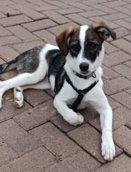 PACO hat einen Neujahrs-Wunsch - Oer-Erkenschwick