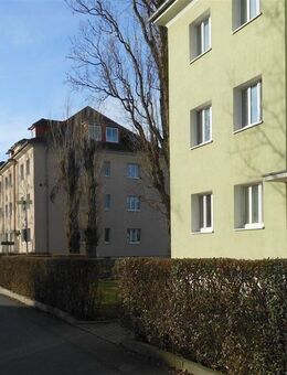 +++ Hübsche Erdgeschosswohnung mit Balkon ins Grüne +++ - Dresden