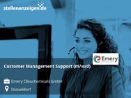 Customer Management Support (m/w/d) - Düsseldorf