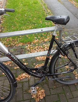 🚲 Kalkhoff Trekkingrad Größe XL gut erhalten - Gladbeck
