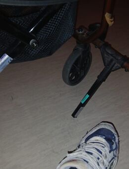 Brauche Rollator - Lindenberg (Allgäu)