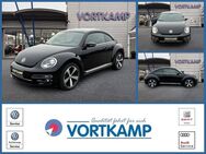 VW Beetle, FENDER, Jahr 2017 - Gronau (Westfalen)