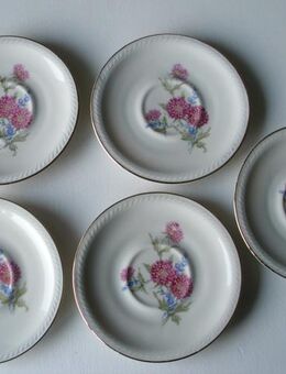 5 Porzellan Teller Untertassen 11,8 cm  elfenbeinfarben  Blumen Gold Retro Vintage zus. 3,- - Flensburg