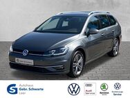 VW Golf Variant, 1.5 TSI Golf VII Highline, Jahr 2020 - Leer (Ostfriesland)