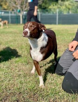 NOCE 💚💚💚 hat es hart getroffen - Herxheim (Landau)