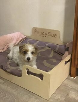 Hundebett für Dackel Größen aus Holz. - Espelkamp