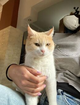 Melenia aus dem Tierschutz - Grevenbroich