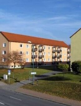Schöne Wohnung in beliebter Wohnlage - Neustadt (Sachsen)