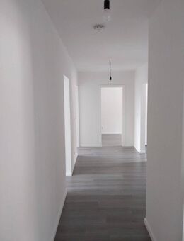 3-Raum-Wohnung, frisch saniert - Ostrau