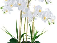 Kunstorchidee Orchidee Phalaenopsis, Creativ green, Höhe 58 cm, mit Graszweigen arrangiert