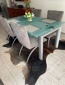 Esstisch Glas gebürstetes Aluminium Designerstück in 50670